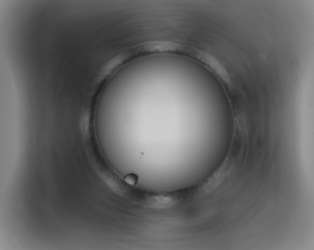 X0000116150159200911231338