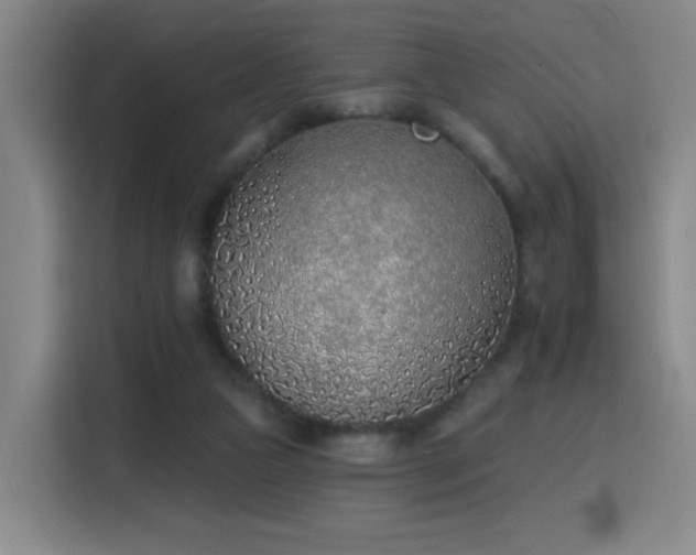 X0000116150161200911231338