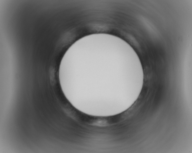 X0000116150162200911231338