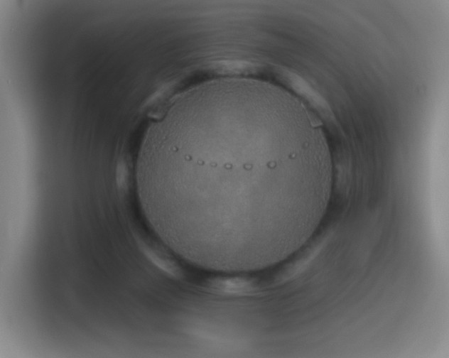 X0000116150165200911231338