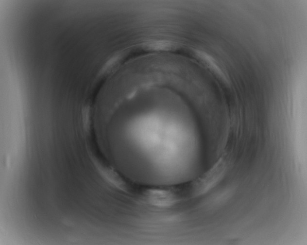 X0000116150167200911231338