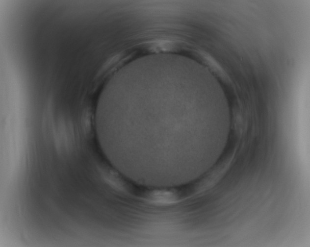 X0000116150169200911231338