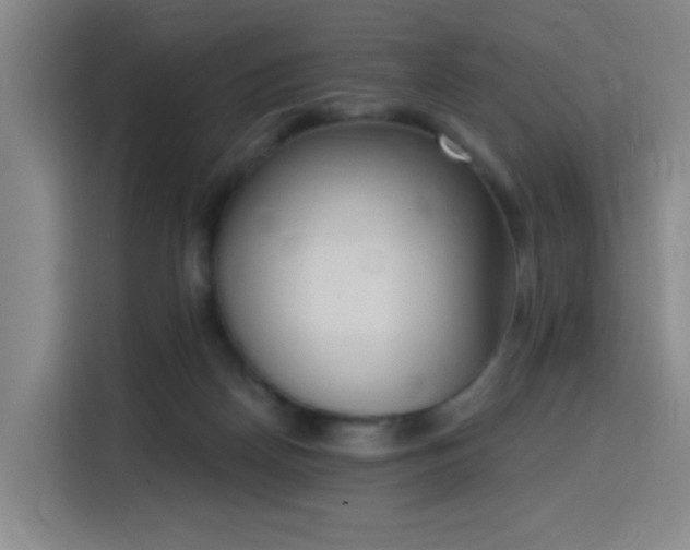 X0000116150170200911231338