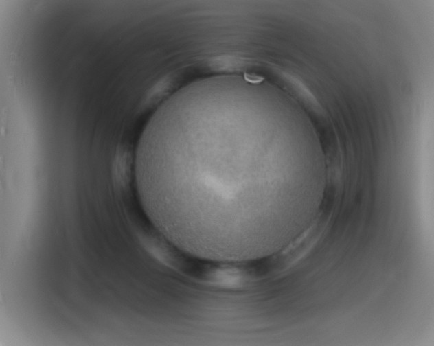 X0000116150171200911231338