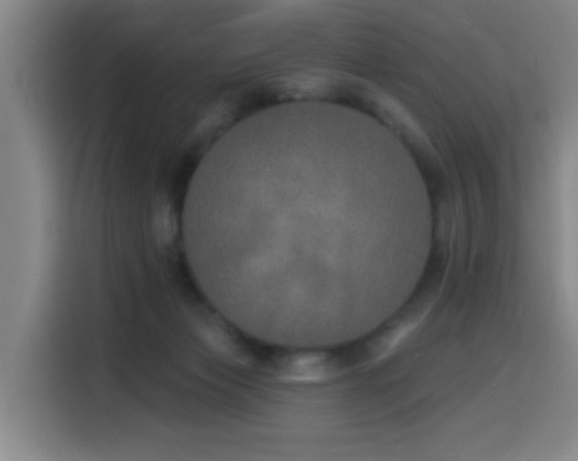 X0000116150173200911231338