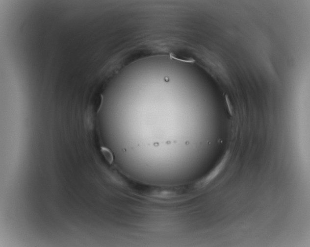 X0000116150174200911231338