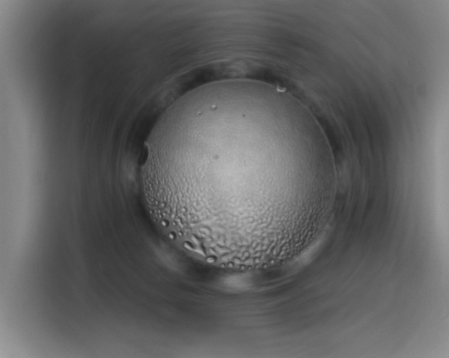 X0000116150178200911231338