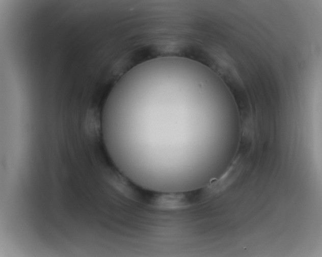 X0000116150179200911231338