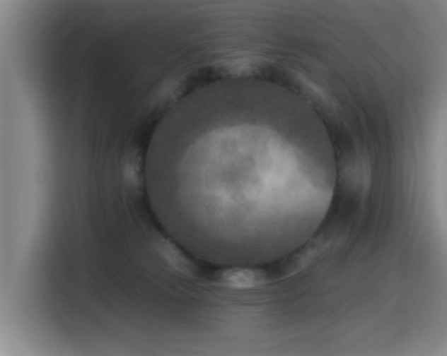 X0000116150181200911231339