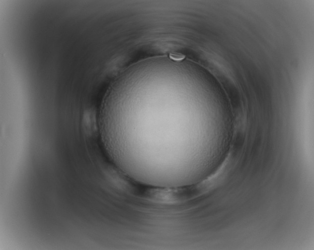 X0000116150182200911231339