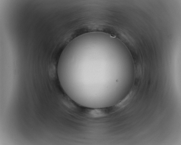 X0000116150183200911231339