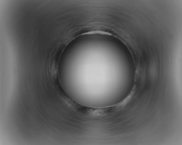 X0000116150186200911231339