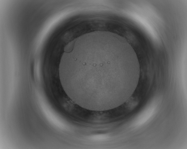 X0000116150189200911231339