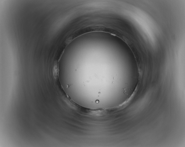 X0000116150190200911231339