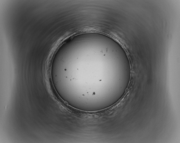 X0000116150193200911231338