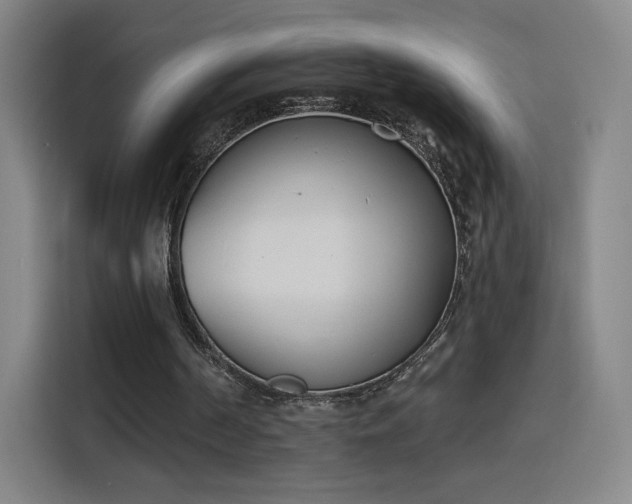 X0000116150194200911231338