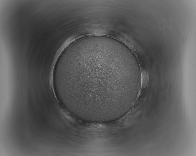 X0000116150195200911231338