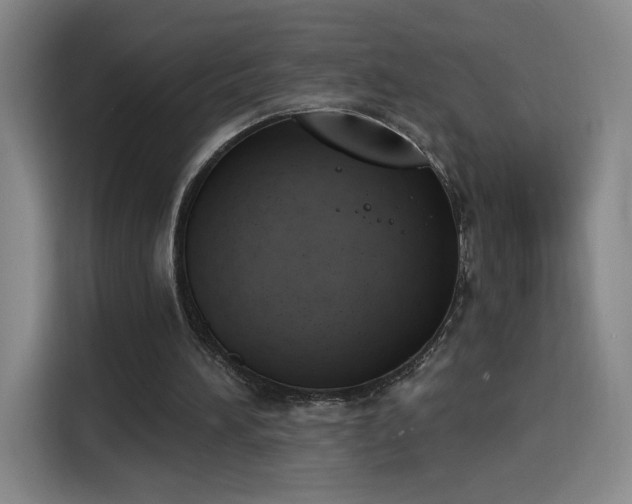 X0000116150196200911231338