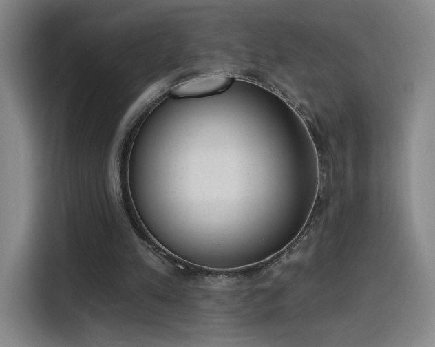 X0000116150197200911231338