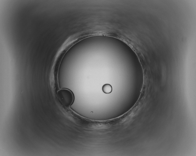 X0000116150198200911231338