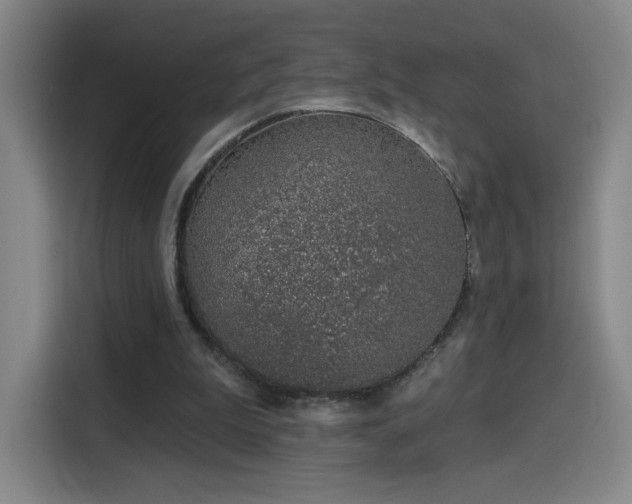 X0000116150199200911231338