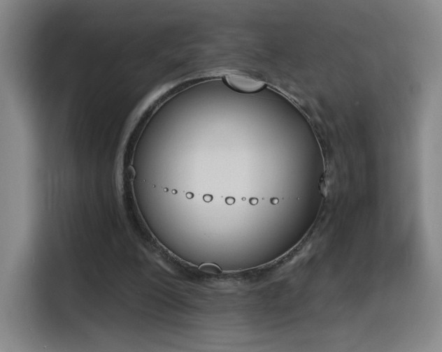 X0000116150200200911231338