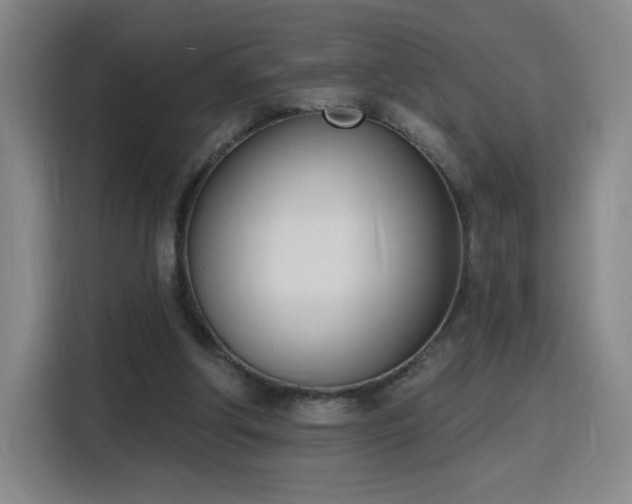 X0000116150202200911231338