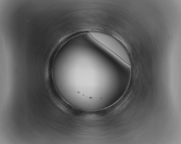 X0000116150203200911231338