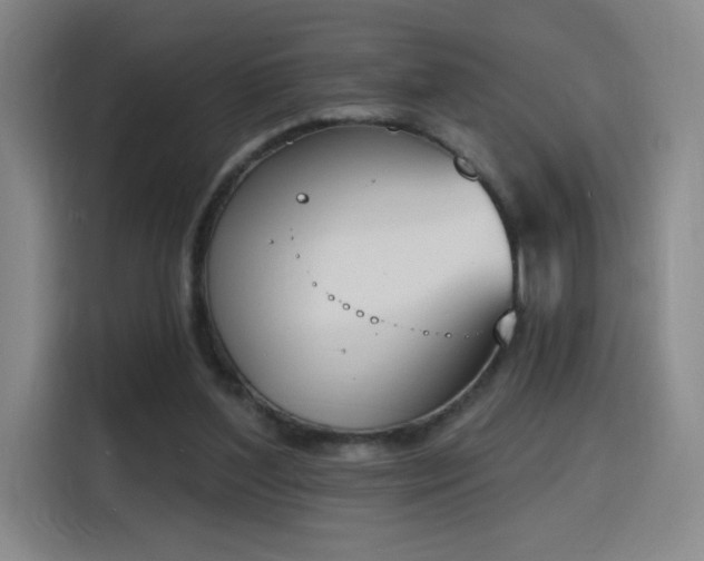 X0000116150204200911231338