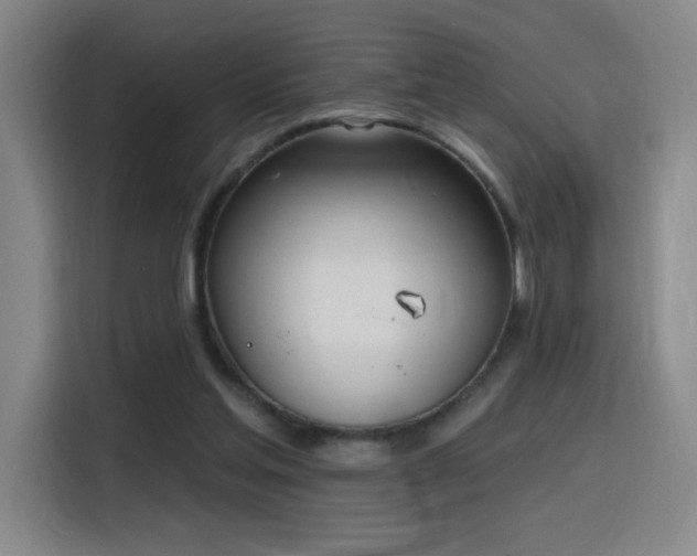 X0000116150205200911231338