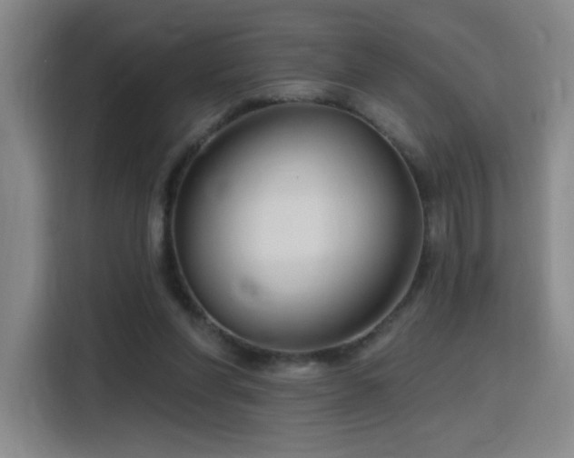 X0000116150206200911231338