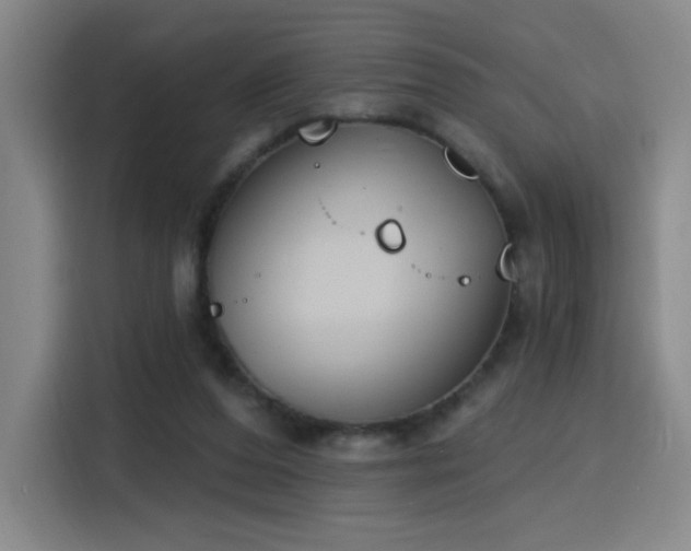 X0000116150208200911231338