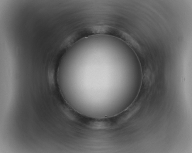 X0000116150209200911231338