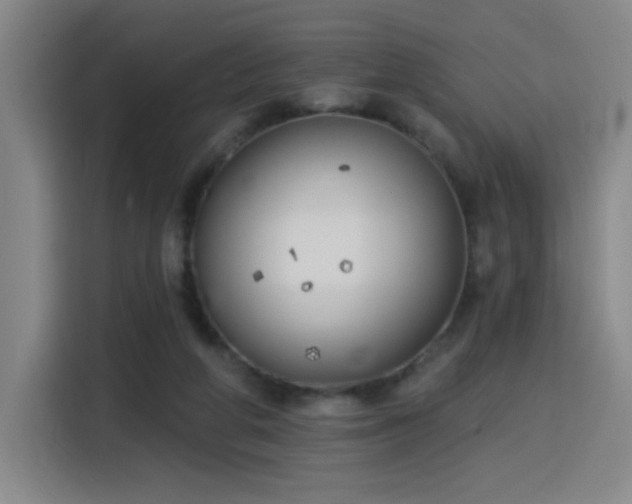 X0000116150210200911231338