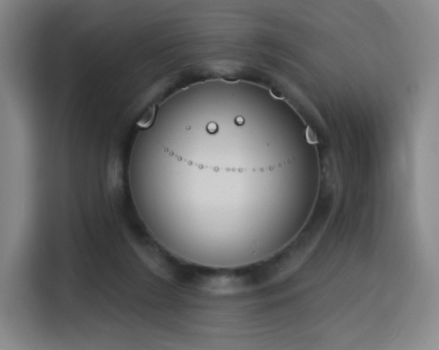 X0000116150212200911231338