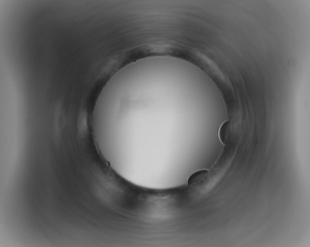 X0000116150213200911231338