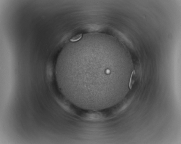 X0000116150215200911231338