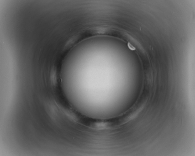 X0000116150216200911231338