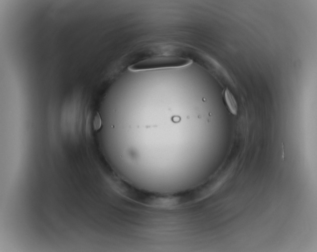 X0000116150217200911231338