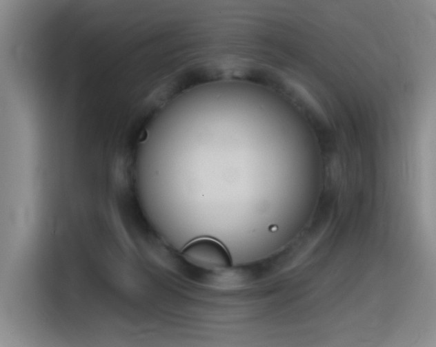 X0000116150218200911231338