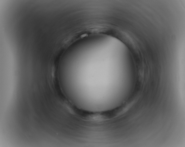 X0000116150219200911231338