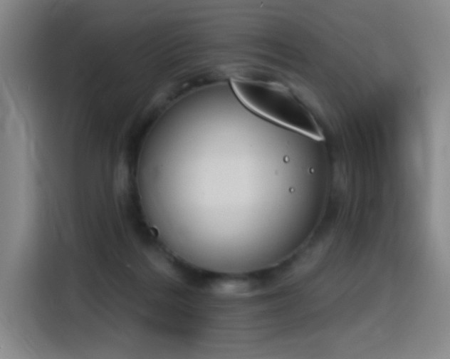 X0000116150220200911231338