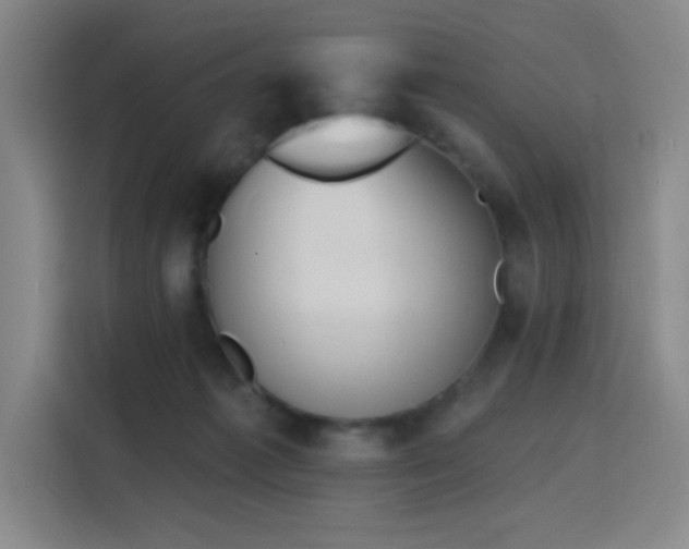 X0000116150221200911231338