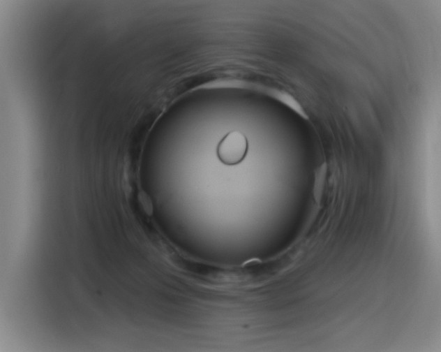 X0000116150223200911231338