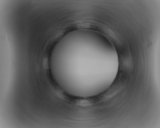 X0000116150224200911231338