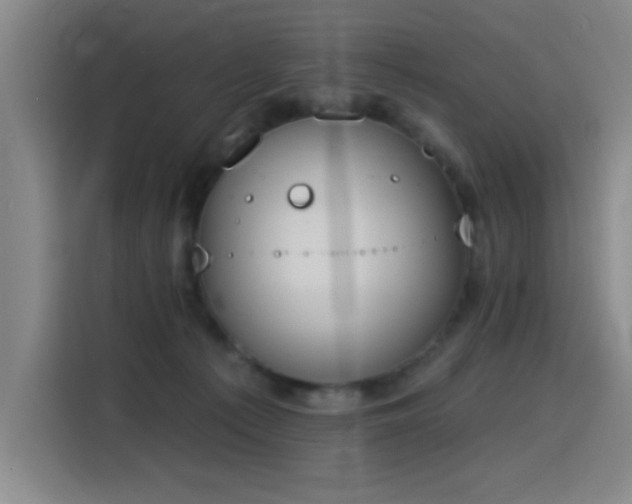 X0000116150225200911231338