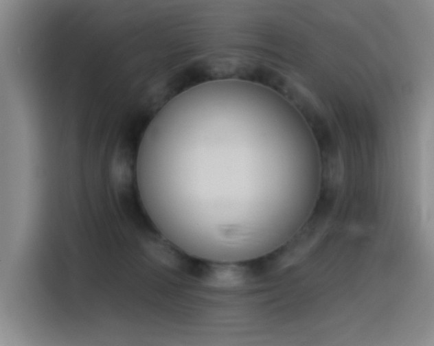 X0000116150226200911231338