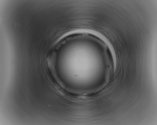 X0000116150227200911231338