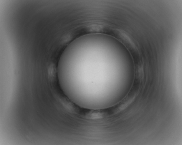 X0000116150228200911231338