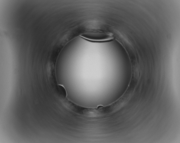 X0000116150229200911231338